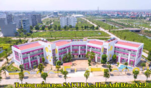 TRƯỜNG MẦM NON SAKURA – HOA ANH ĐÀO
