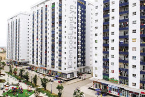 Với nhiều diện tích từ nhỏ tới lớn phù hợp với cả gia đình có nhiều hay ít thành viên. Đem tới nhiều sự lựa chọn cho khách hàng. 